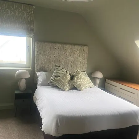 Large Comfortable *